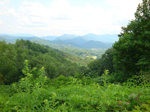 38 Acres with Mountain Views